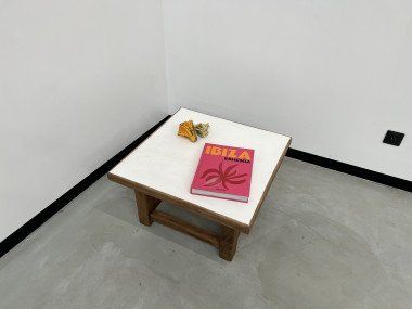Table basse carrée moderniste en chêne, vue 11