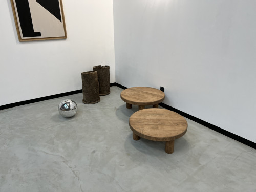 Duo de tables basses circulaires "mid century", vue 17