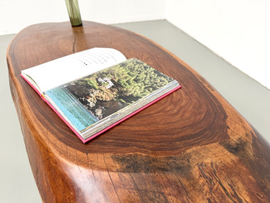 Table Basse Organique "Slab" en Bois Exotique Massif, vue 21