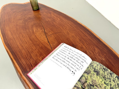 Table Basse Organique "Slab" en Bois Exotique Massif, vue 22