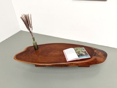 Table Basse Organique "Slab" en Bois Exotique Massif, vue 26