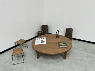 Grande table basse circulaire années 50, vue 4