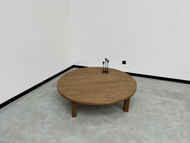 Grande table basse circulaire années 50, vue 9
