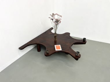 Table basse de bijoutier, XIXème siècle, vue 1