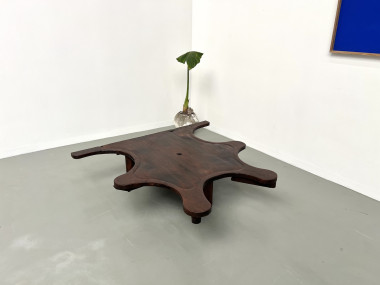 Table basse de bijoutier, XIXème siècle, vue 31
