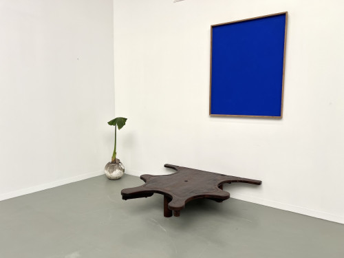 Table basse de bijoutier, XIXème siècle, vue 38